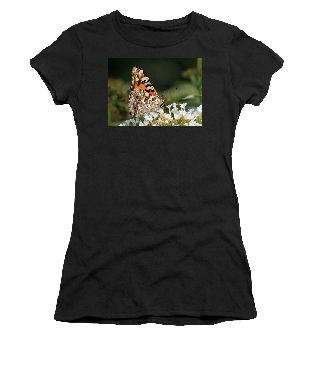 Moth Women's T-Shirt featuring the photograph Little Creature by Juergen Roth