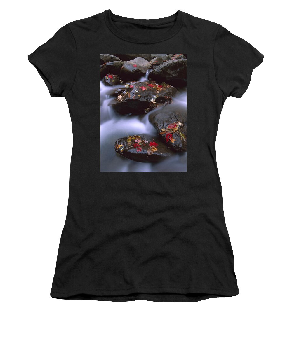 Feb0514 Women's T-Shirt featuring the photograph Little Pigeon River And Fall Maple by Tim Fitzharris