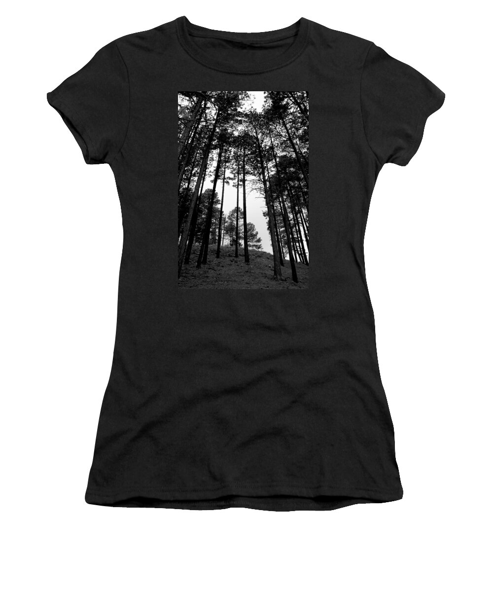 Tree Women's T-Shirt featuring the photograph Lodgepole Pines by Joe Kozlowski