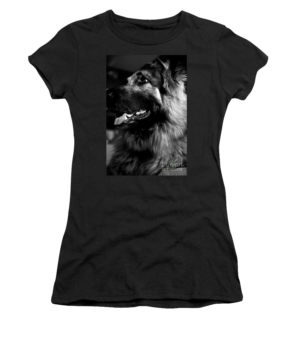 Kingshepherddog Women's T-Shirt featuring the photograph Portrait of a King Shepherd Dog by Frank J Casella