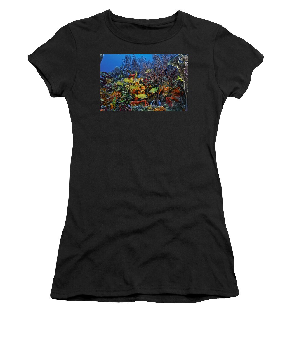 Art Women's T-Shirt featuring the photograph Lynns Reef on a perfect day by Sandra Edwards