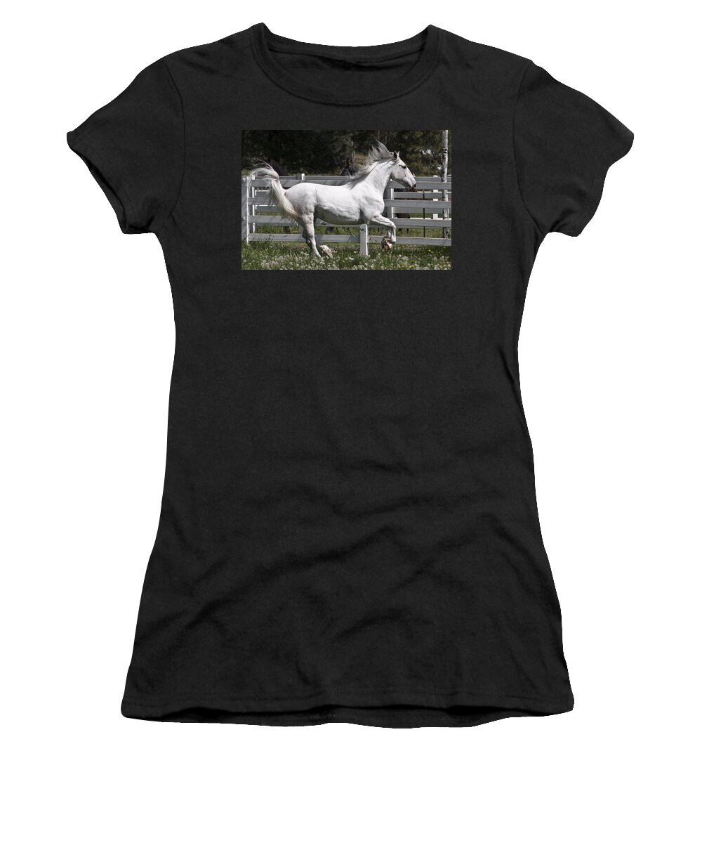 Maestoso Aurorra Women's T-Shirt featuring the photograph Maestoso Aurorra by Wes and Dotty Weber
