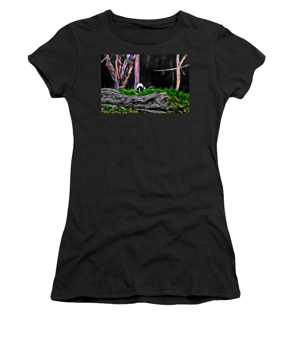 Lemur Women's T-Shirt featuring the photograph Walk in Magical Land Of The Black and White Ruffed Lemur by Miroslava Jurcik