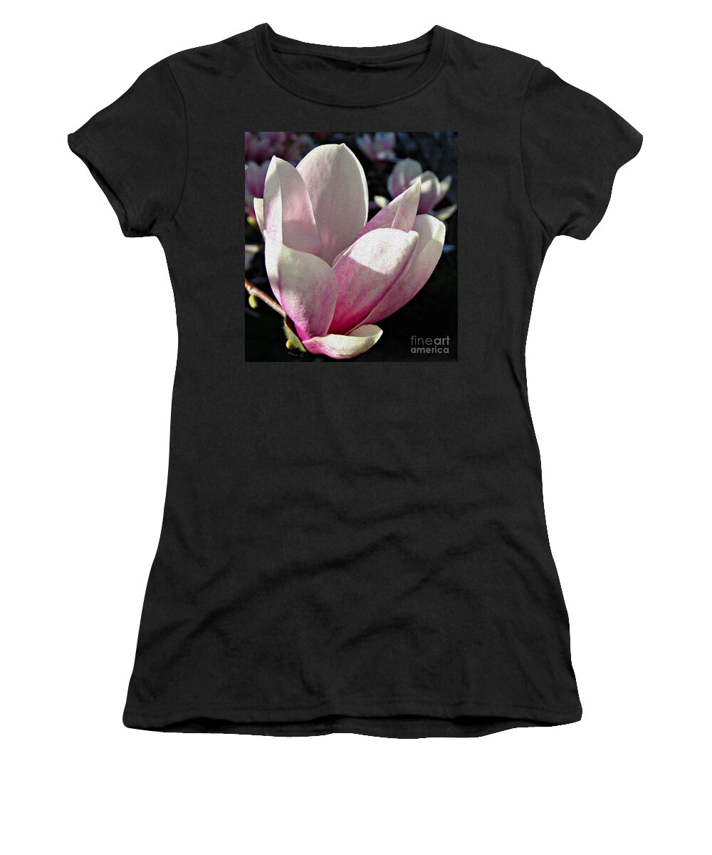 Floral Women's T-Shirt featuring the photograph Magnolia Blossom at sundown by Nina Silver