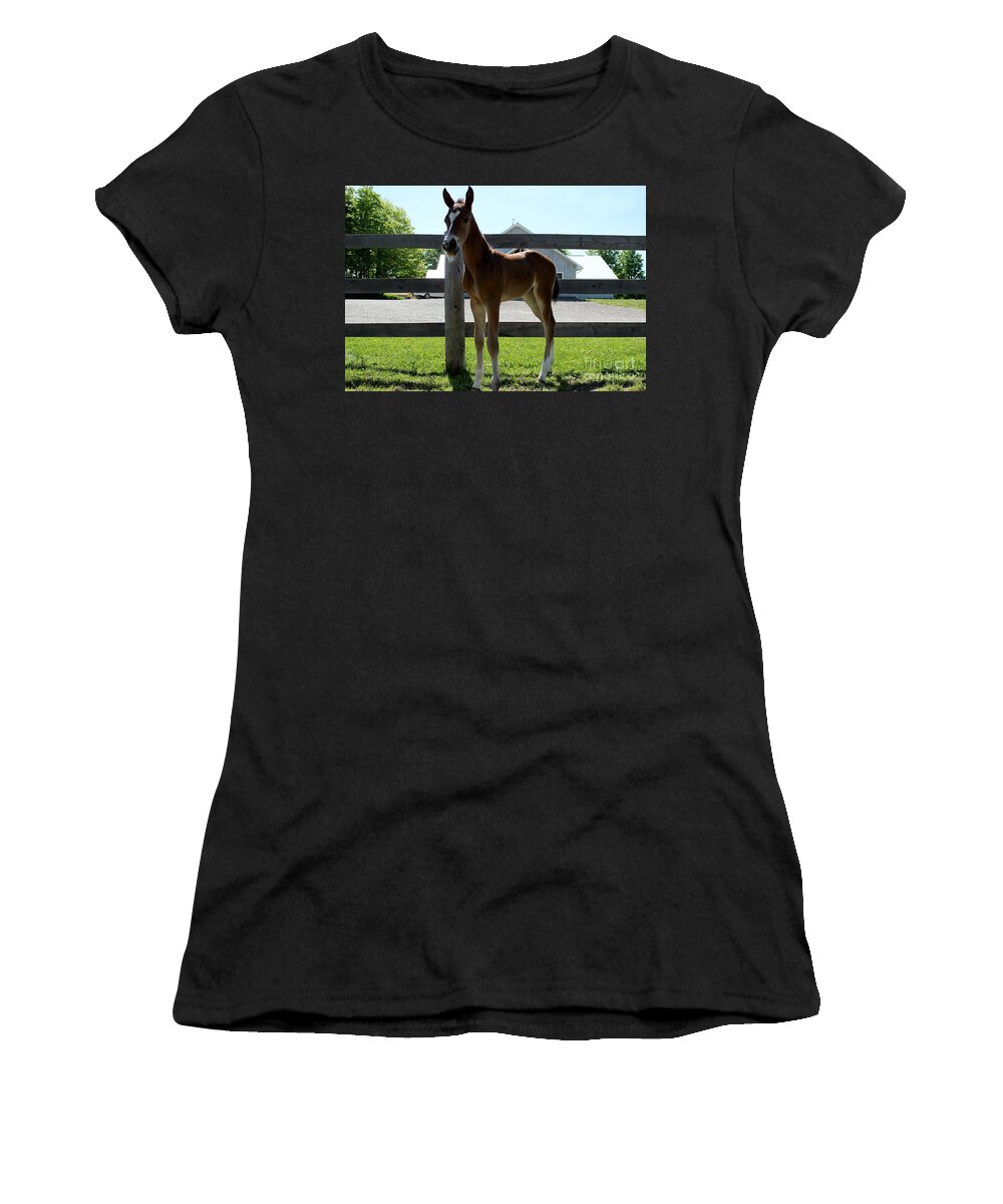 Foal Women's T-Shirt featuring the photograph Mare Foal91 by Janice Byer