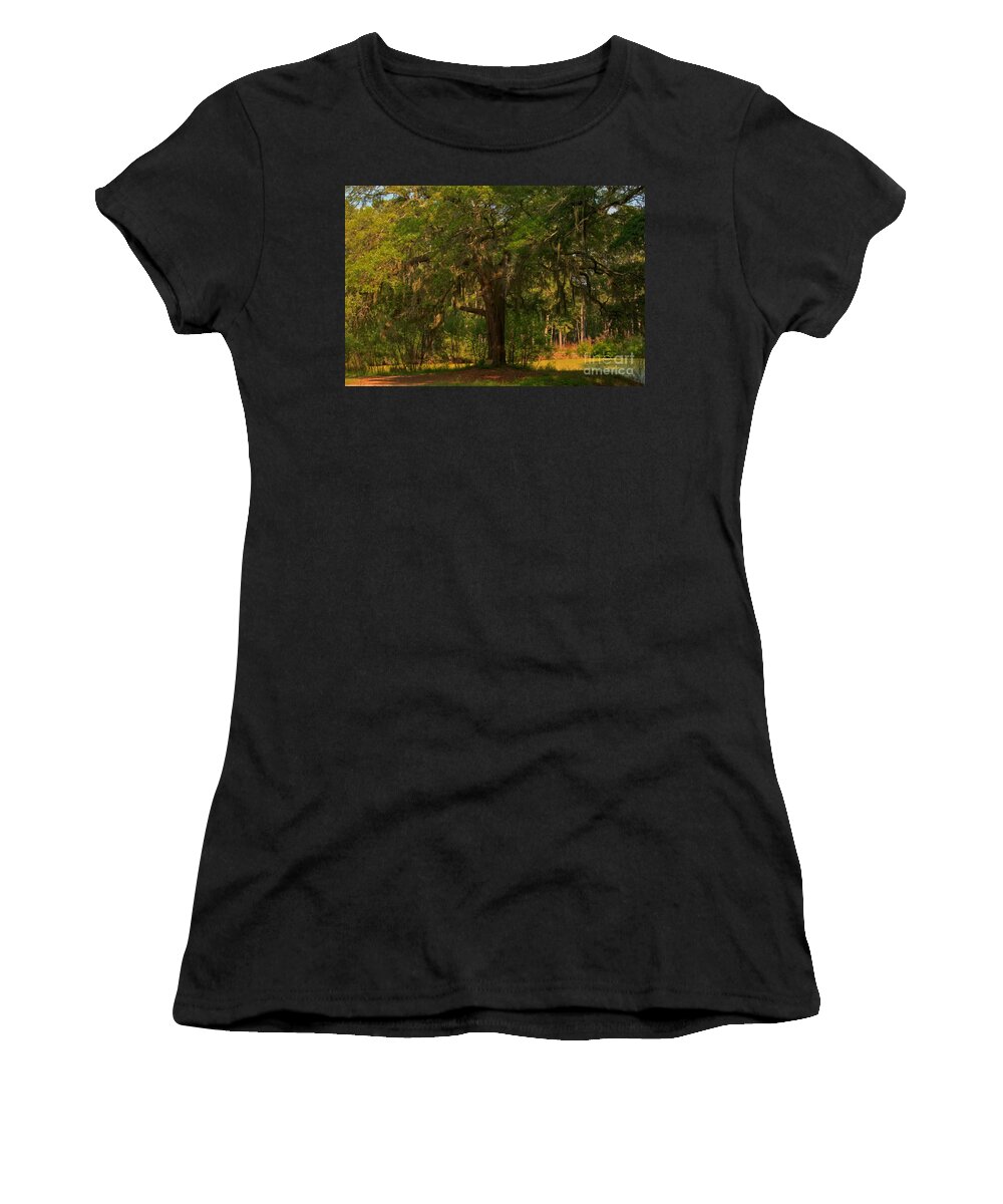 Margaret Morrison Meyer Women's T-Shirt featuring the photograph Margaret Morrison Meyer Memorial Oak by Adam Jewell