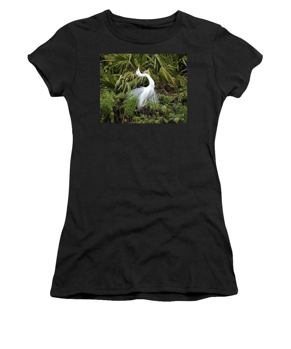Egret Women's T-Shirt featuring the photograph The Devine Ms E by Carol Bradley