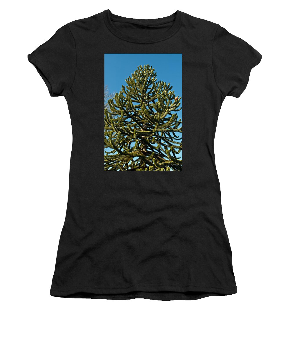 Green Women's T-Shirt featuring the photograph Monkey Puzzle Tree E by Tikvah's Hope