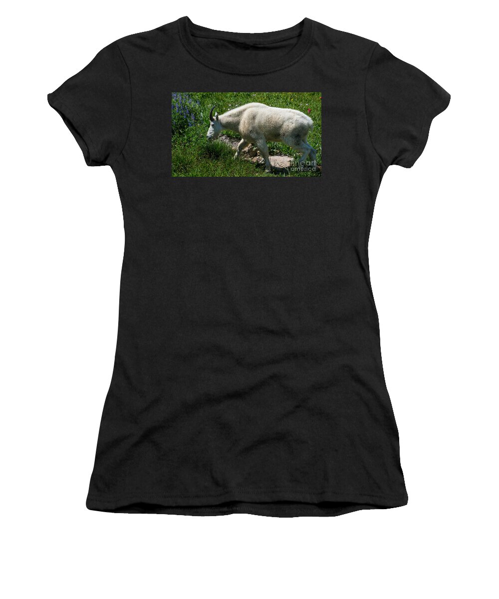 Mountain Goat Women's T-Shirt featuring the photograph Mountain Goat and Wildflowers by Gary Whitton