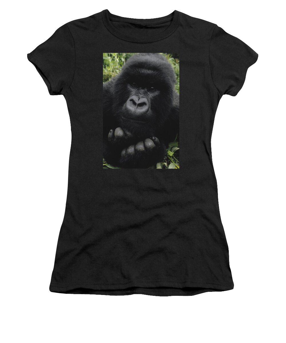 Feb0514 Women's T-Shirt featuring the photograph Mountain Gorilla Juvenile Portrait by Gerry Ellis