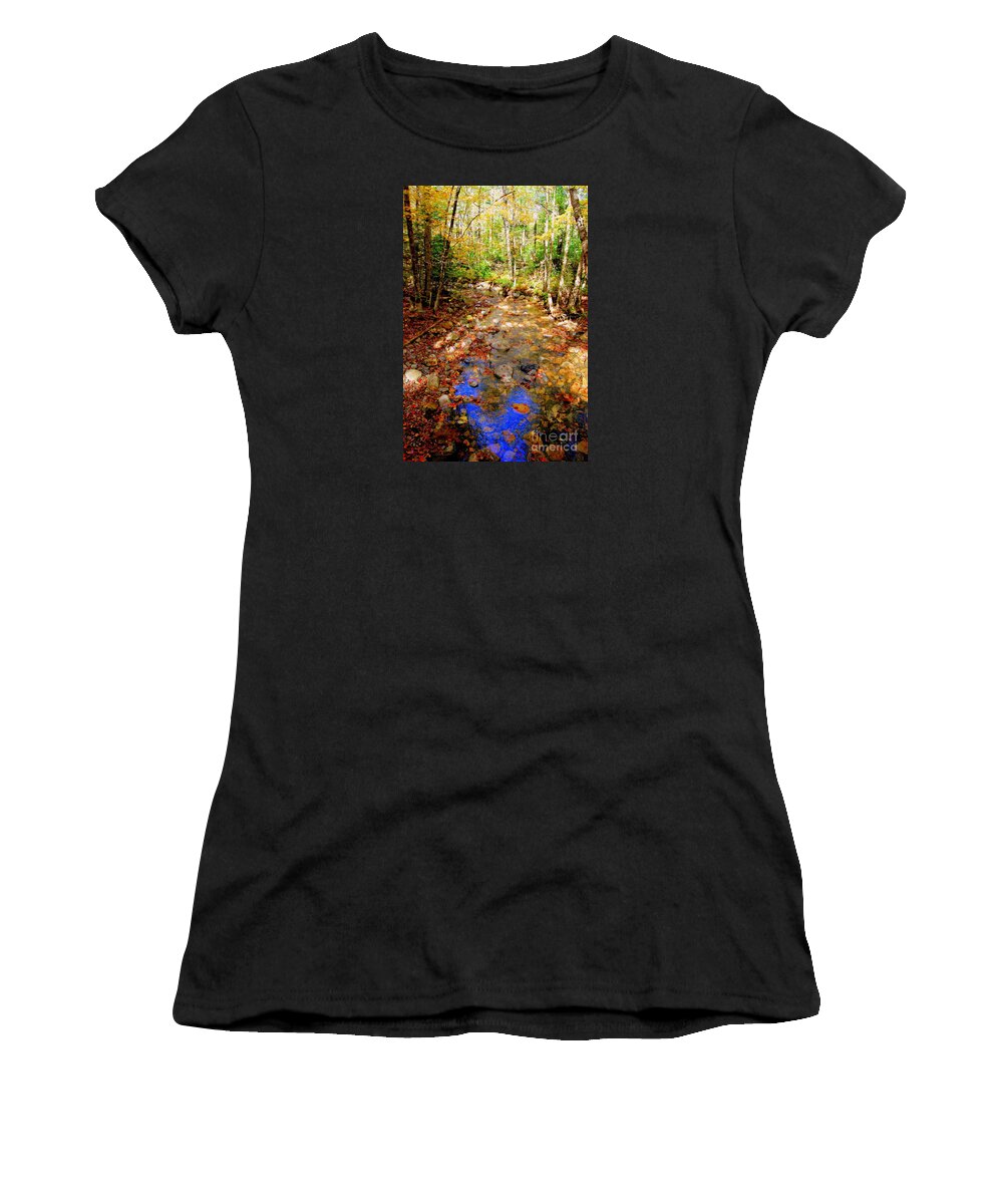 Mountain Streams Women's T-Shirt featuring the photograph Mountain Stream Covered With Fall Leaves by Eunice Miller