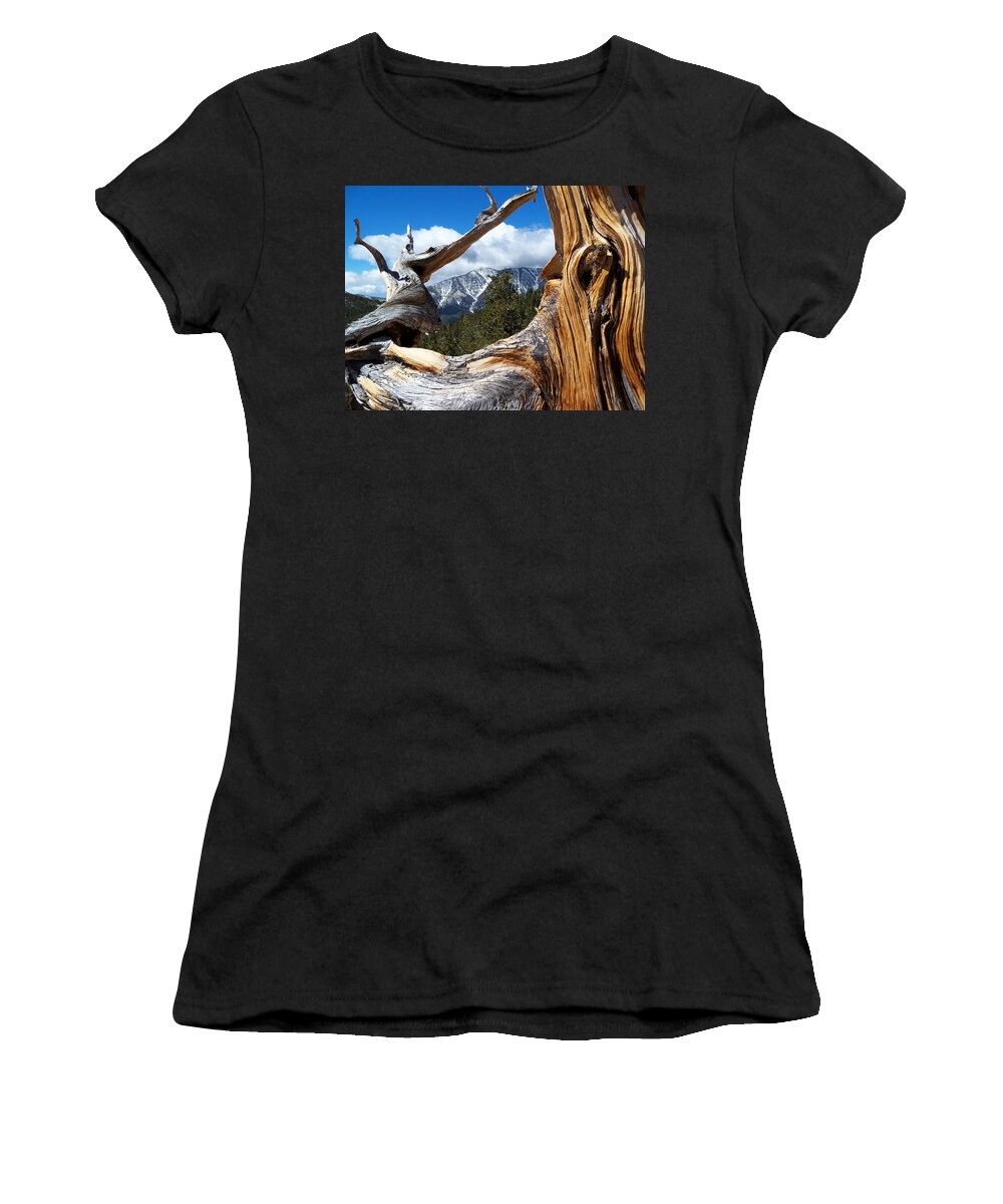 Mt. Women's T-Shirt featuring the photograph Mt. Charleston Thru a Tree by Alan Socolik
