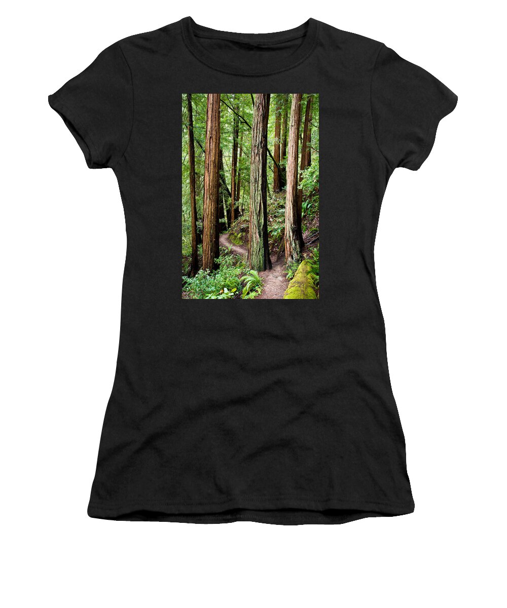 Tree Women's T-Shirt featuring the photograph Muir Woods by Niels Nielsen