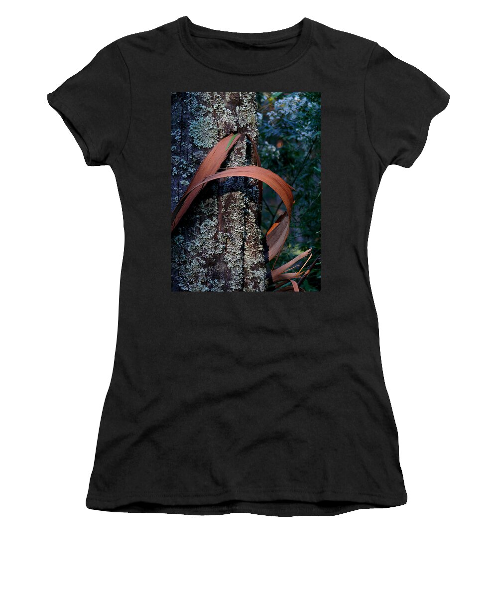Eucalypt Women's T-Shirt featuring the photograph Natural Bands 1 by Evelyn Tambour