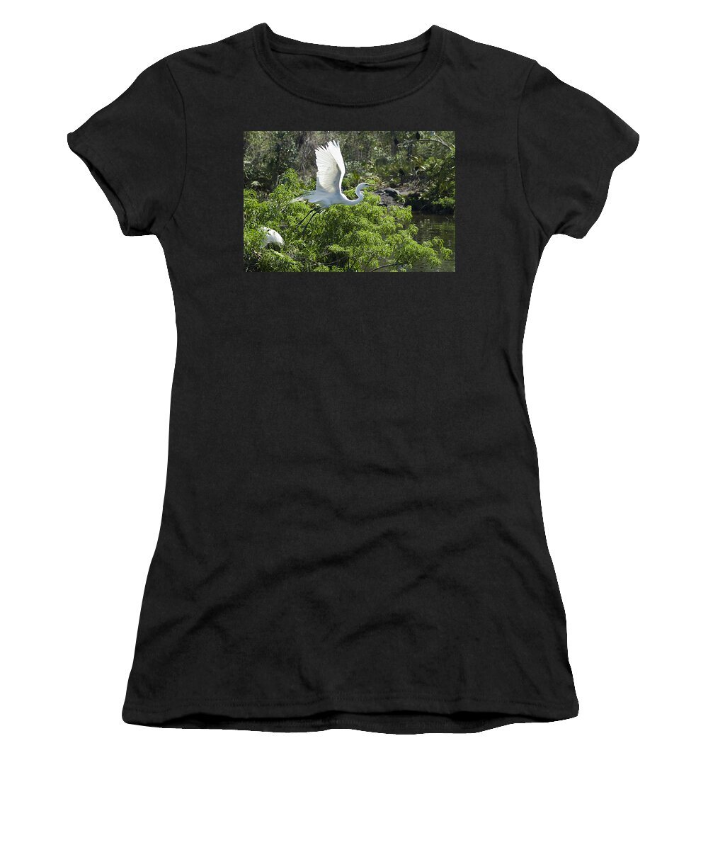 Great White Egrets Women's T-Shirt featuring the photograph Need More Branches by Carolyn Marshall