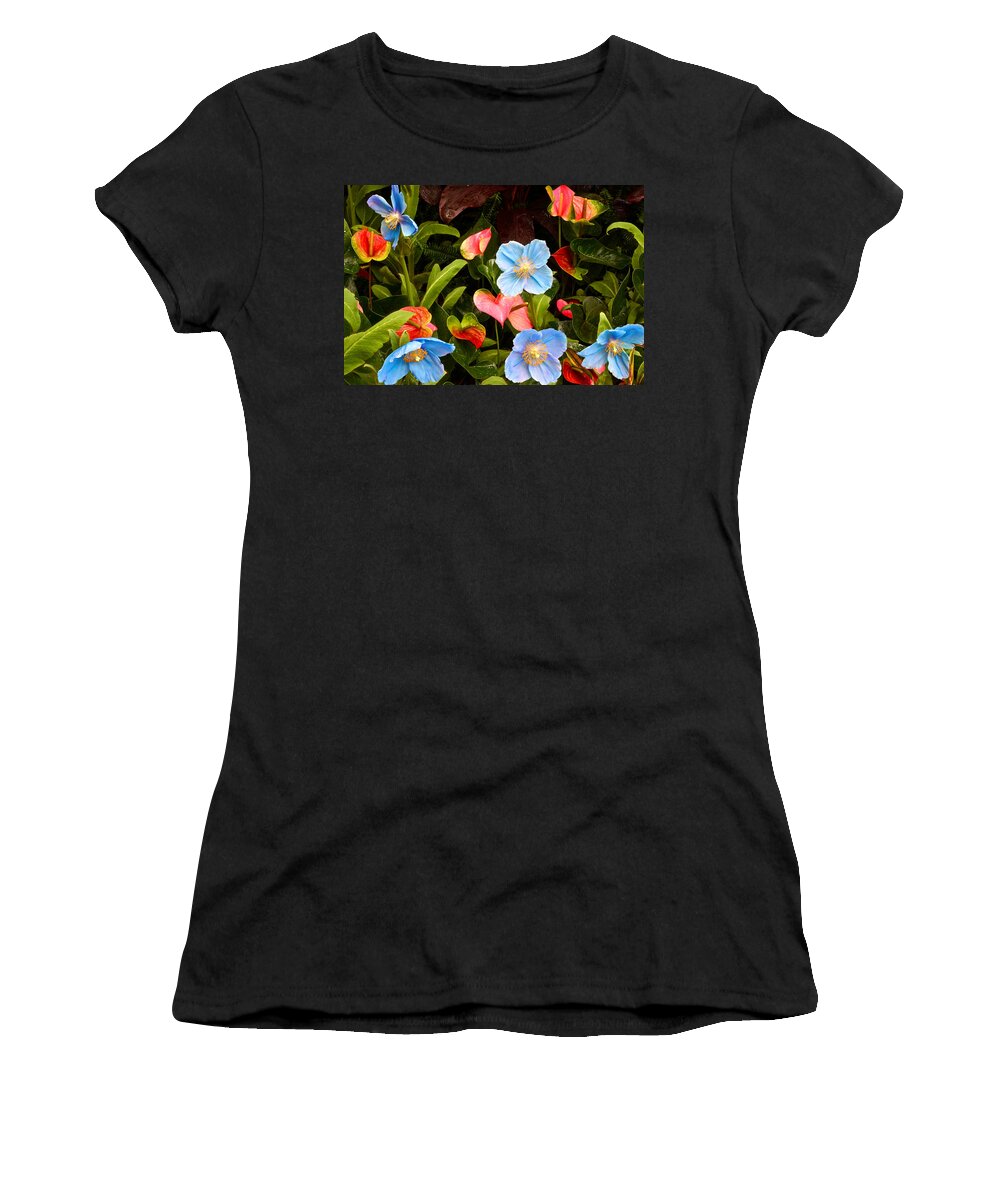 Meconopsis Betonicifolia Women's T-Shirt featuring the photograph New World and Old World Exotic Flowers by Byron Varvarigos