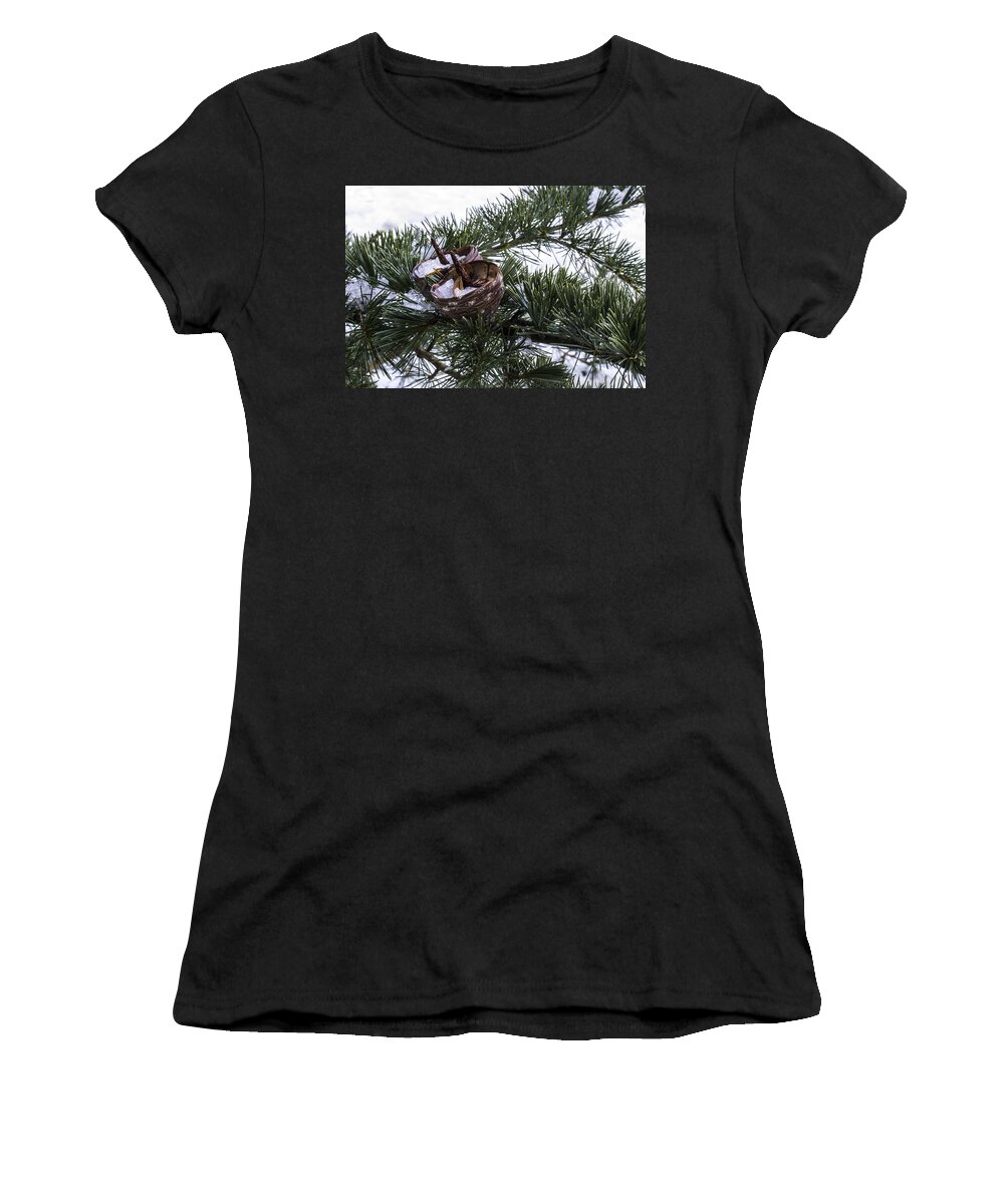 Fir Women's T-Shirt featuring the photograph Nibbled by Spikey Mouse Photography
