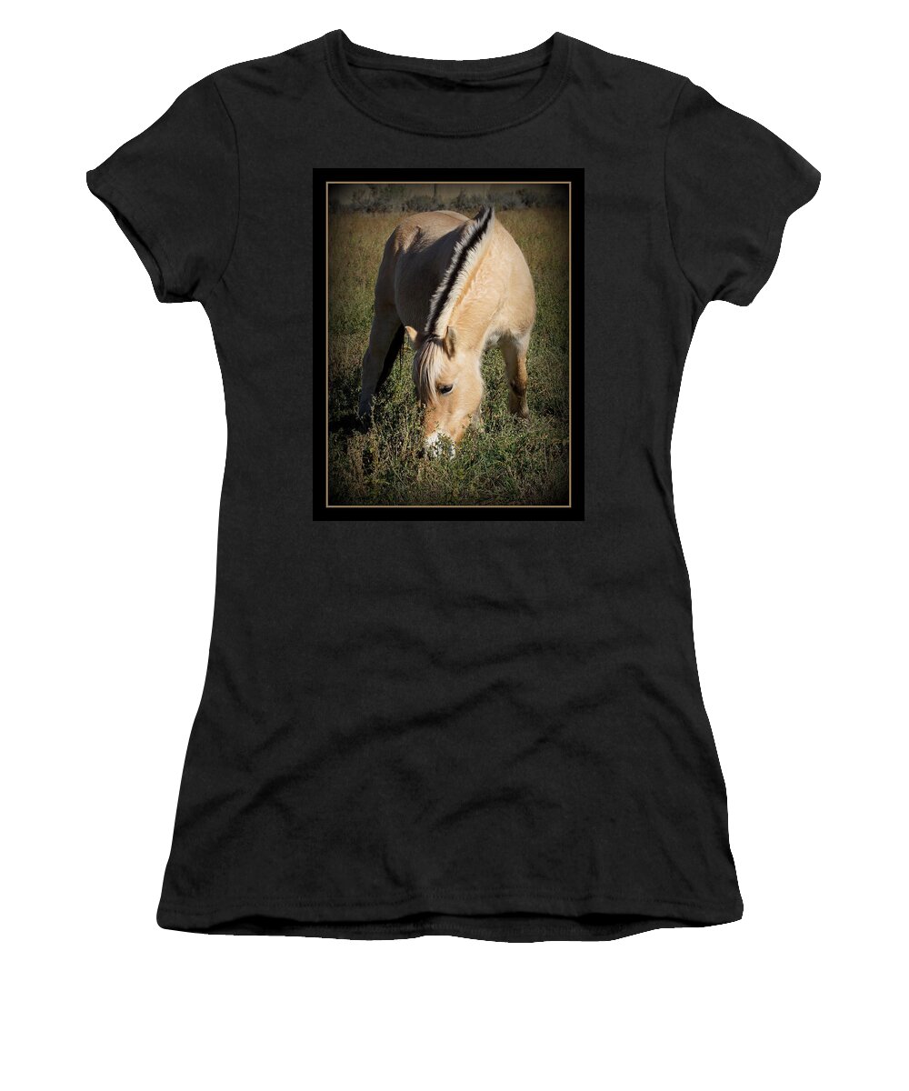 Norwegian Fjord Horse Women's T-Shirt featuring the photograph Norwegian Fjord by Ernest Echols