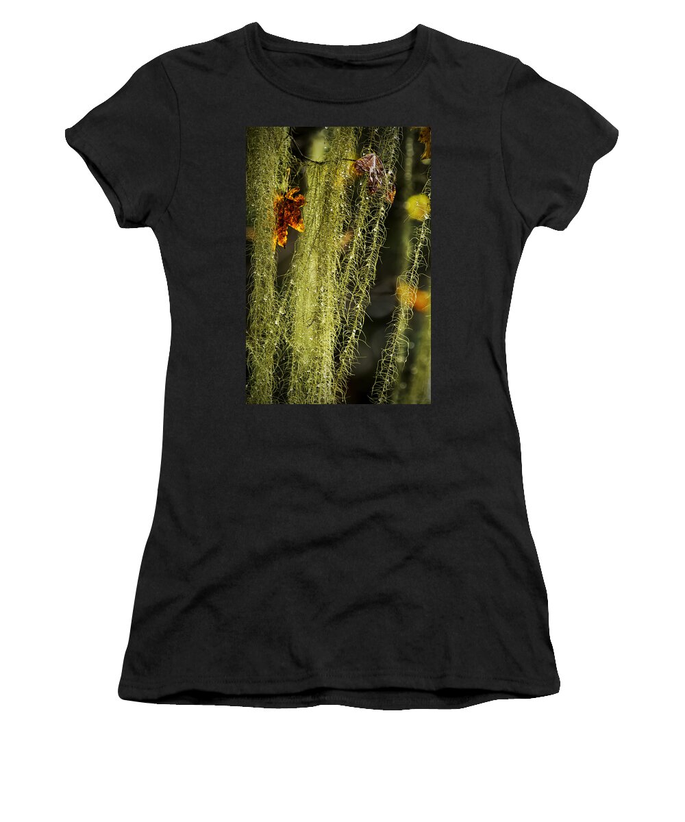Usnea Women's T-Shirt featuring the photograph Old Man's Beard Lichen by Belinda Greb