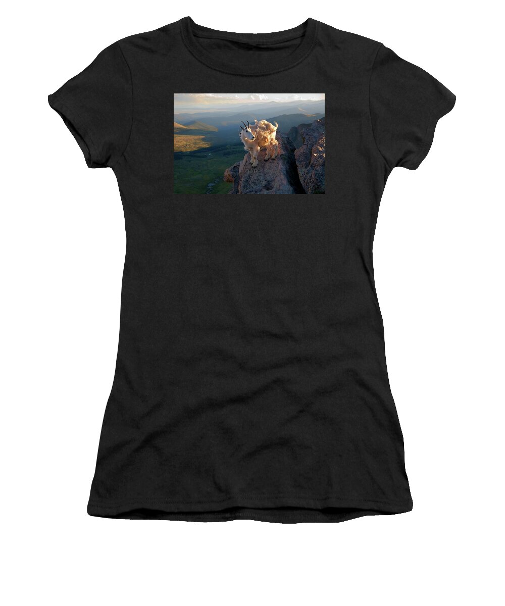 Mountain Goats; Sunset; Overlook; Mountain Momma; Goat; Nature; Wildlife; Baby Animal; Mother; Precipice; Outcrop; Cliff; Windy; Women's T-Shirt featuring the photograph On a Clear Day by Jim Garrison