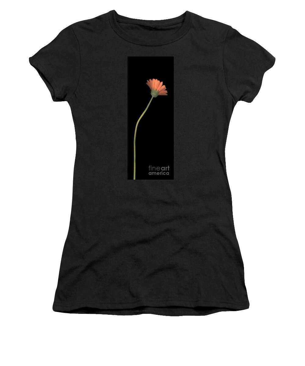 Daisy Women's T-Shirt featuring the photograph One Daisy Tall by Heather Kirk