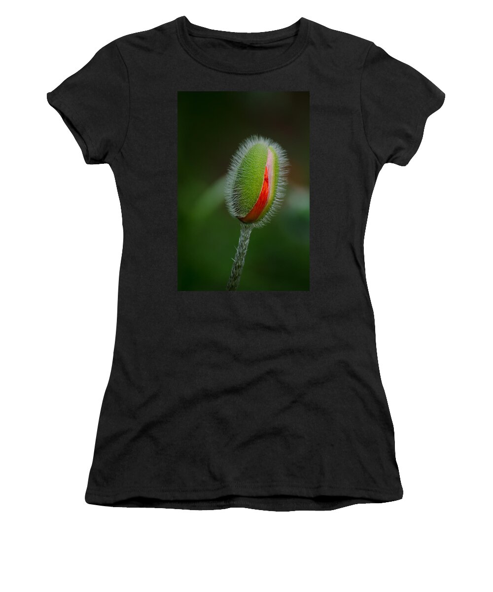 Garden Women's T-Shirt featuring the photograph Orange Budding Poppy by Tikvah's Hope