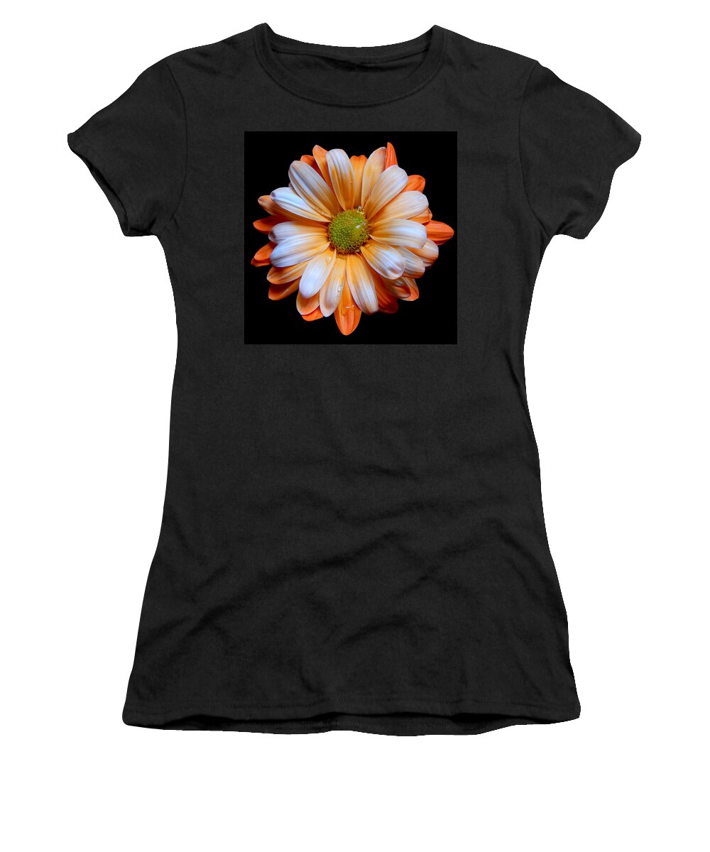 Flowers Women's T-Shirt featuring the photograph Orange Daisy Still Life Flower Art Poster by Lily Malor