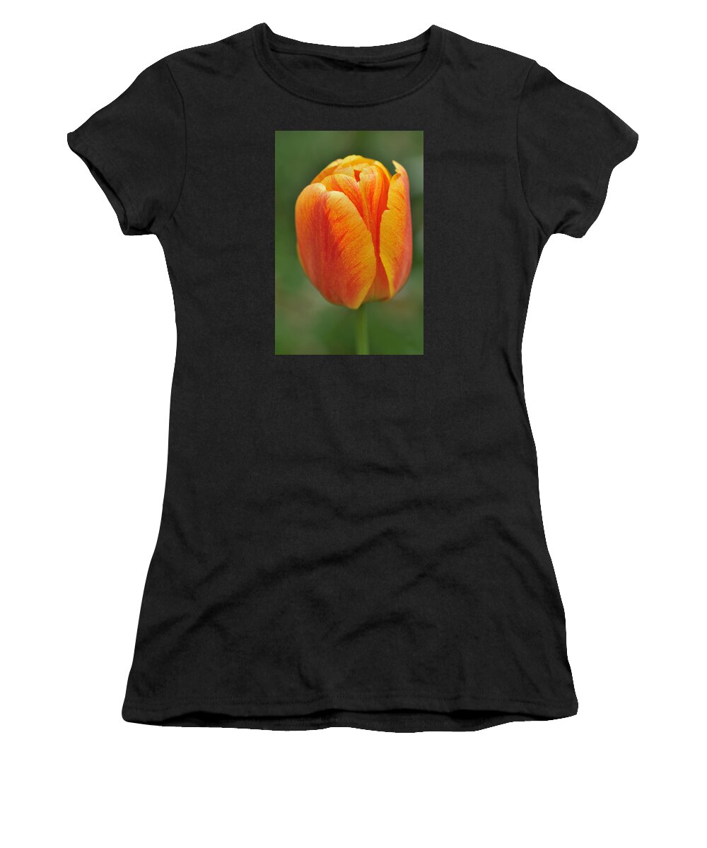 Tulip Women's T-Shirt featuring the photograph Orange Tulip by Matthias Hauser