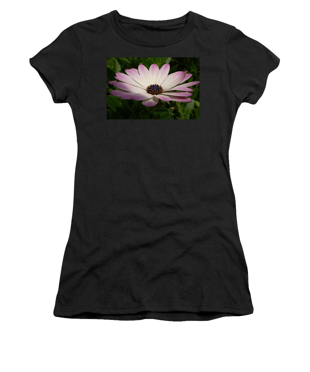 Birthday Women's T-Shirt featuring the photograph Osteospermum Whiter Shade of Pale by Taiche Acrylic Art