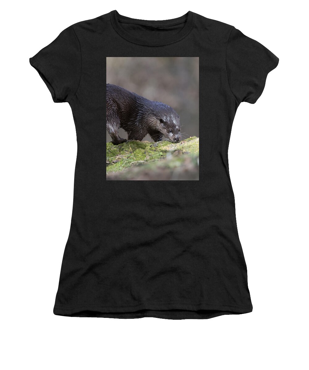 Photo Women's T-Shirt featuring the photograph Otter by Tony Mills