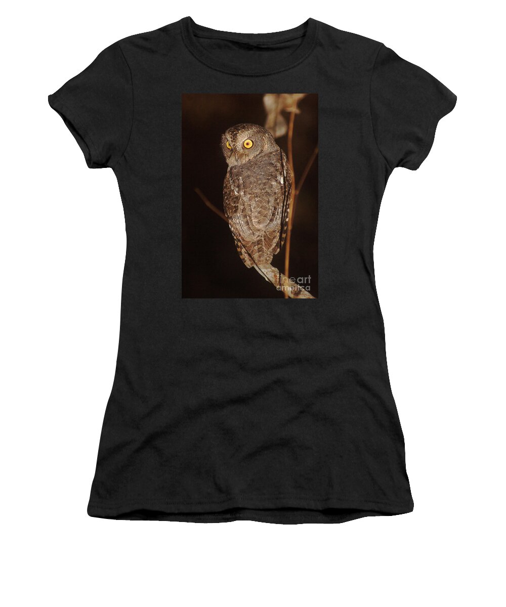 Nature Women's T-Shirt featuring the photograph owl of Madagascar by Rudi Prott