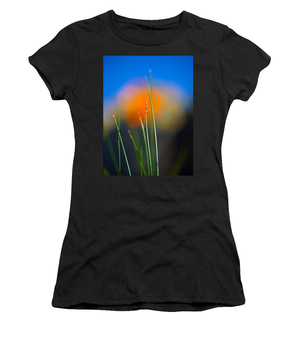 Flora Women's T-Shirt featuring the photograph Papyrus by Joe Schofield
