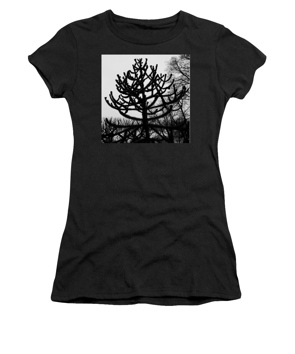 Paris Women's T-Shirt featuring the photograph Paris Black and White Tree in the Jardin des Plantes by Evie Carrier