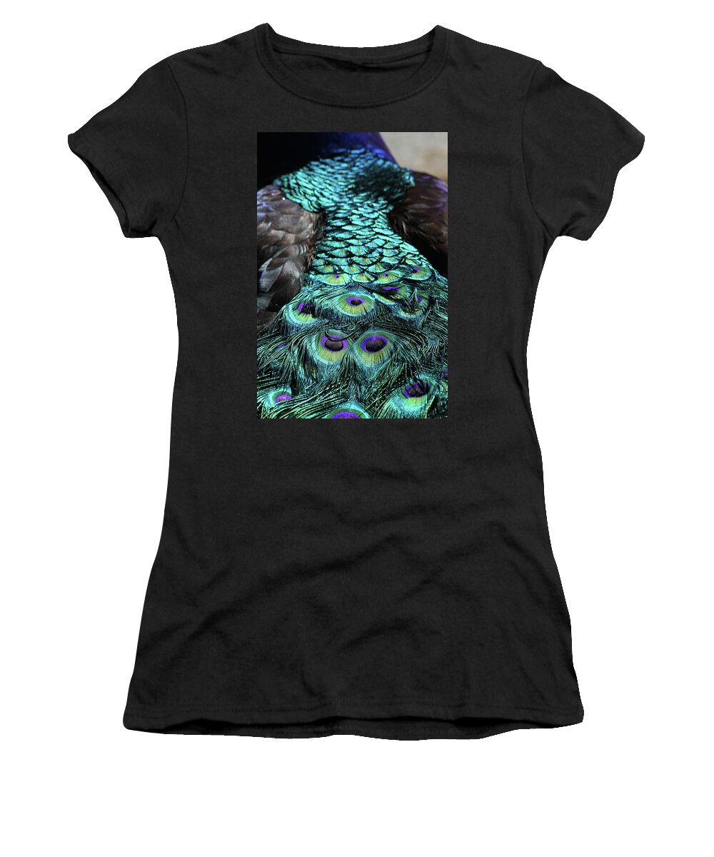 Peacock Women's T-Shirt featuring the photograph Peacock Trail by Karol Livote