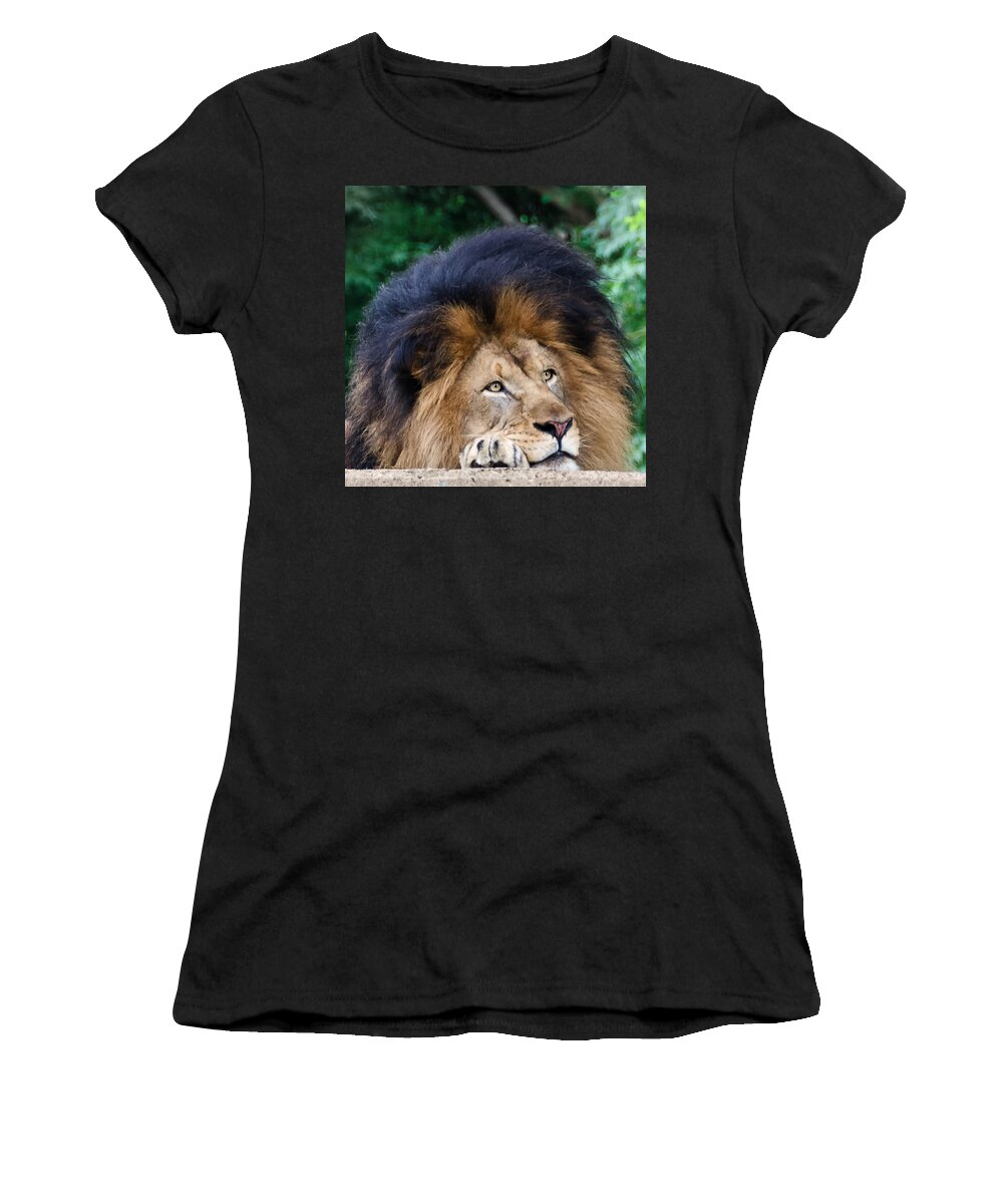 National Zoo Women's T-Shirt featuring the photograph Pensive Lion by Georgette Grossman