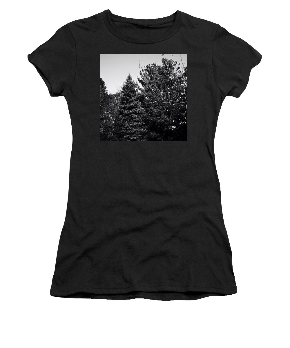 Trees Women's T-Shirt featuring the photograph Pine And Leaves - Monochrome by Frank J Casella