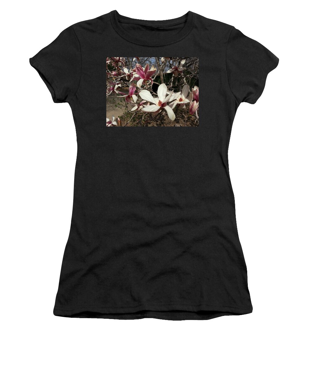Pink Women's T-Shirt featuring the photograph Pink and White Spring Magnolia by Caryl J Bohn