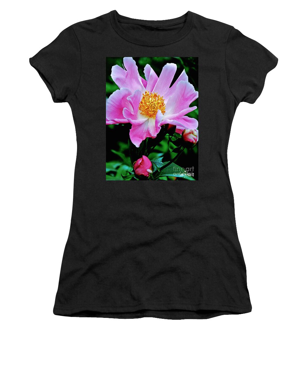 Flower Photograph Women's T-Shirt featuring the photograph Pink Peony Garden by Carol F Austin