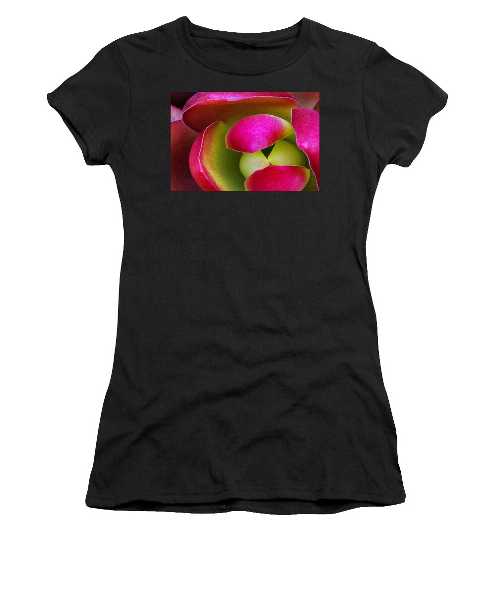 Cactus Women's T-Shirt featuring the photograph Plump Succulent by Guy Shultz