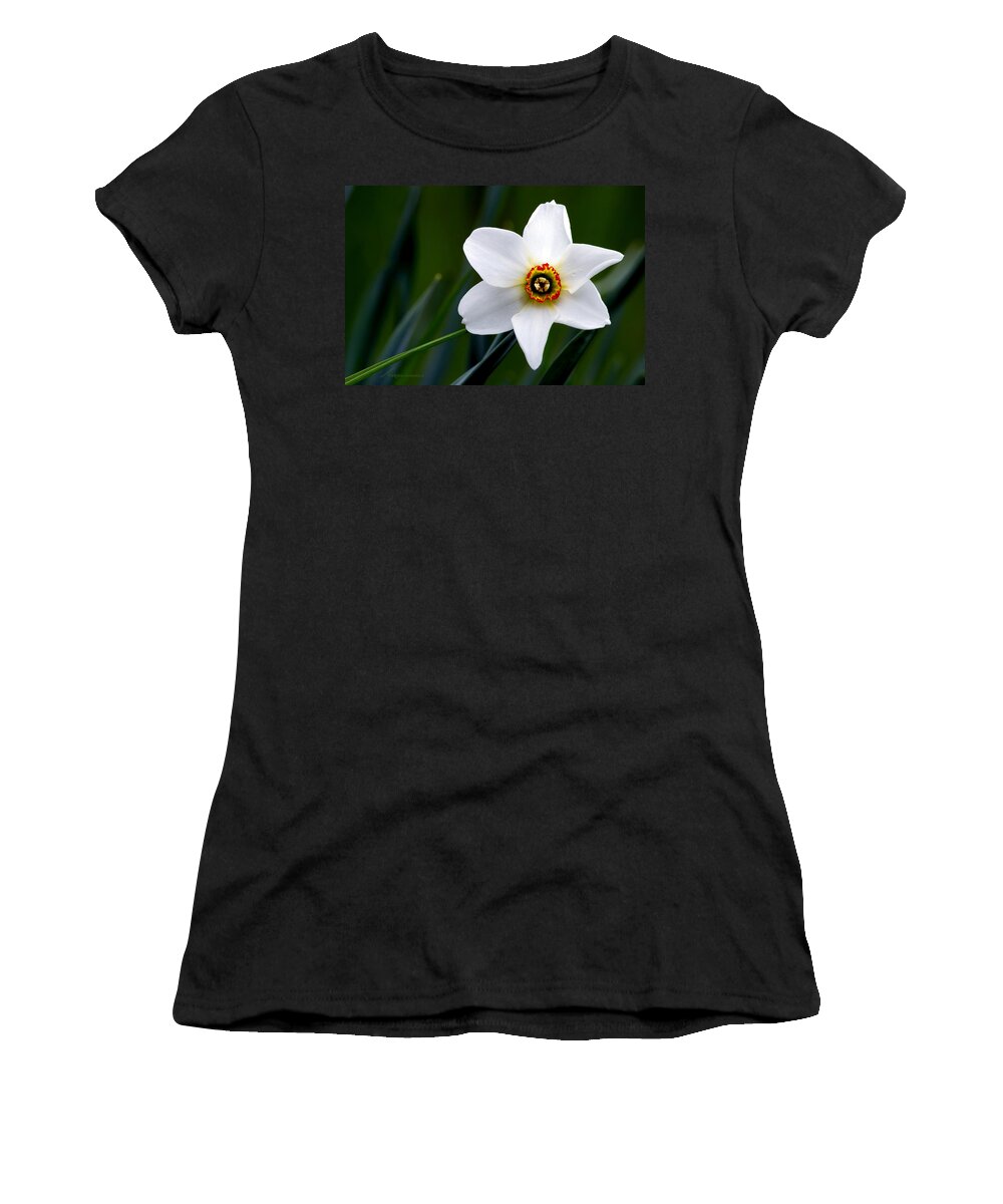 Poet's Daffodil Women's T-Shirt featuring the photograph Poet's Daffodil by Torbjorn Swenelius