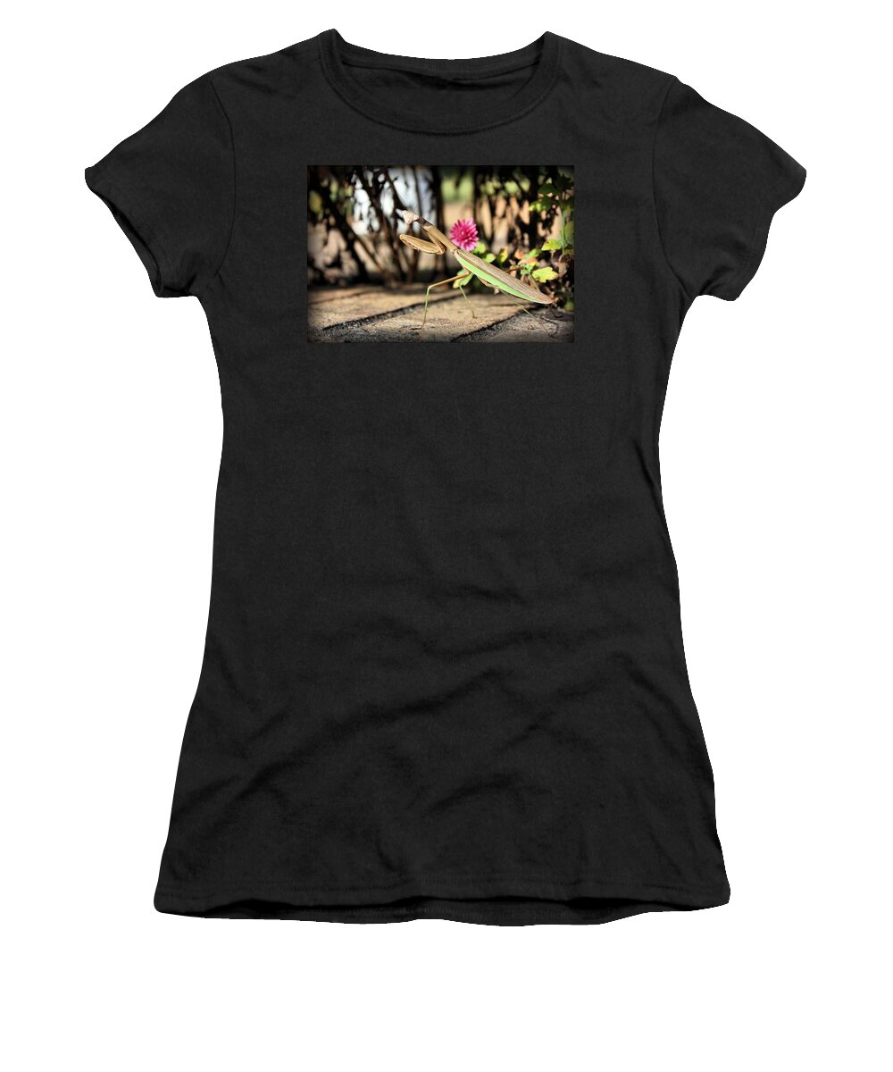 Praying Mantis Women's T-Shirt featuring the photograph Praying Mantis by Kristin Elmquist