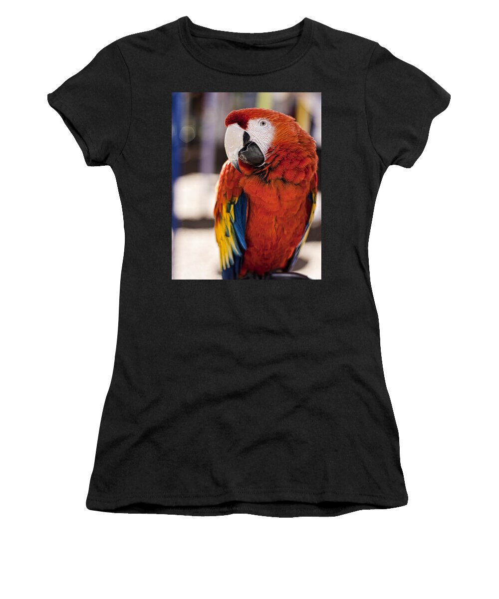 Macaw Women's T-Shirt featuring the photograph Pretty Bird 2 by Scott Wood
