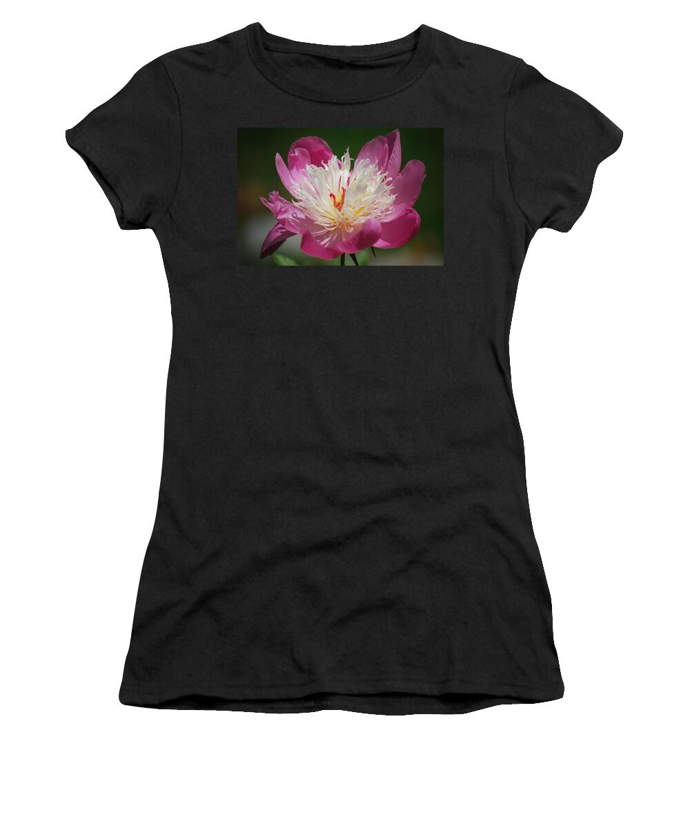 Peony Women's T-Shirt featuring the photograph Pretty in Pink by Lori Tambakis
