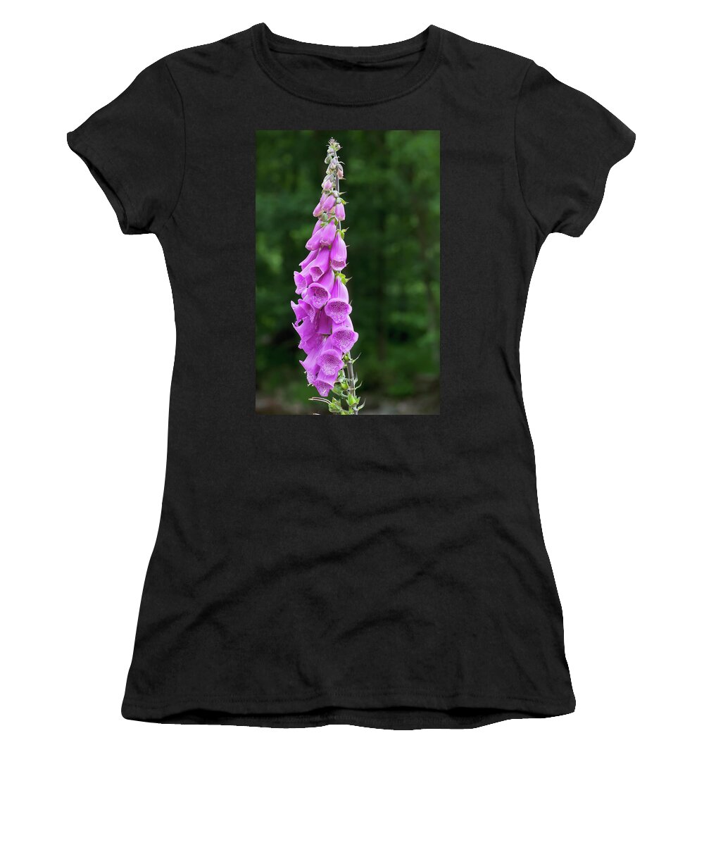 Digitalis Women's T-Shirt featuring the photograph Purple Foxglove Northumberland, England by John Short