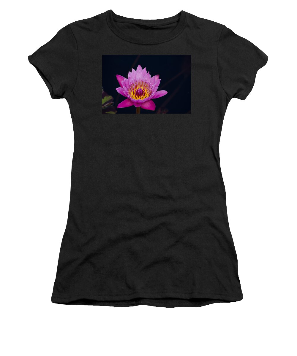 Flower Women's T-Shirt featuring the photograph Purple Lotus Flower by Jim Shackett