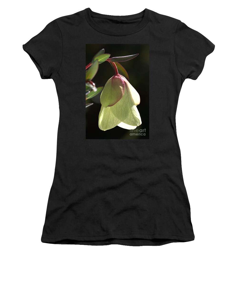 Qualup Bell Flower Women's T-Shirt featuring the photograph Qualup Bell Flower by Joy Watson