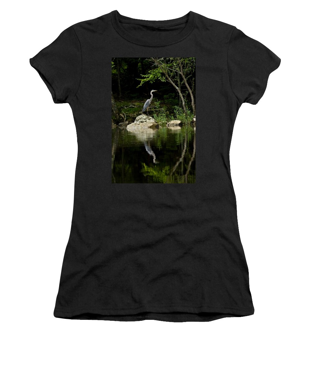 Blue Heron Women's T-Shirt featuring the photograph Quiet Waters by Brent L Ander