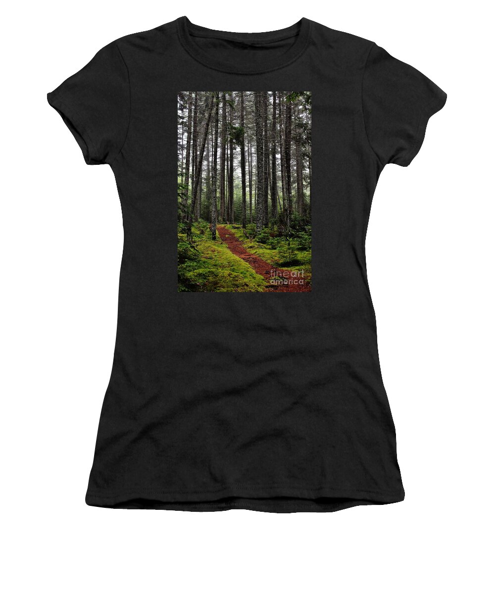 Woods Women's T-Shirt featuring the photograph Quiet Woods by Karin Pinkham