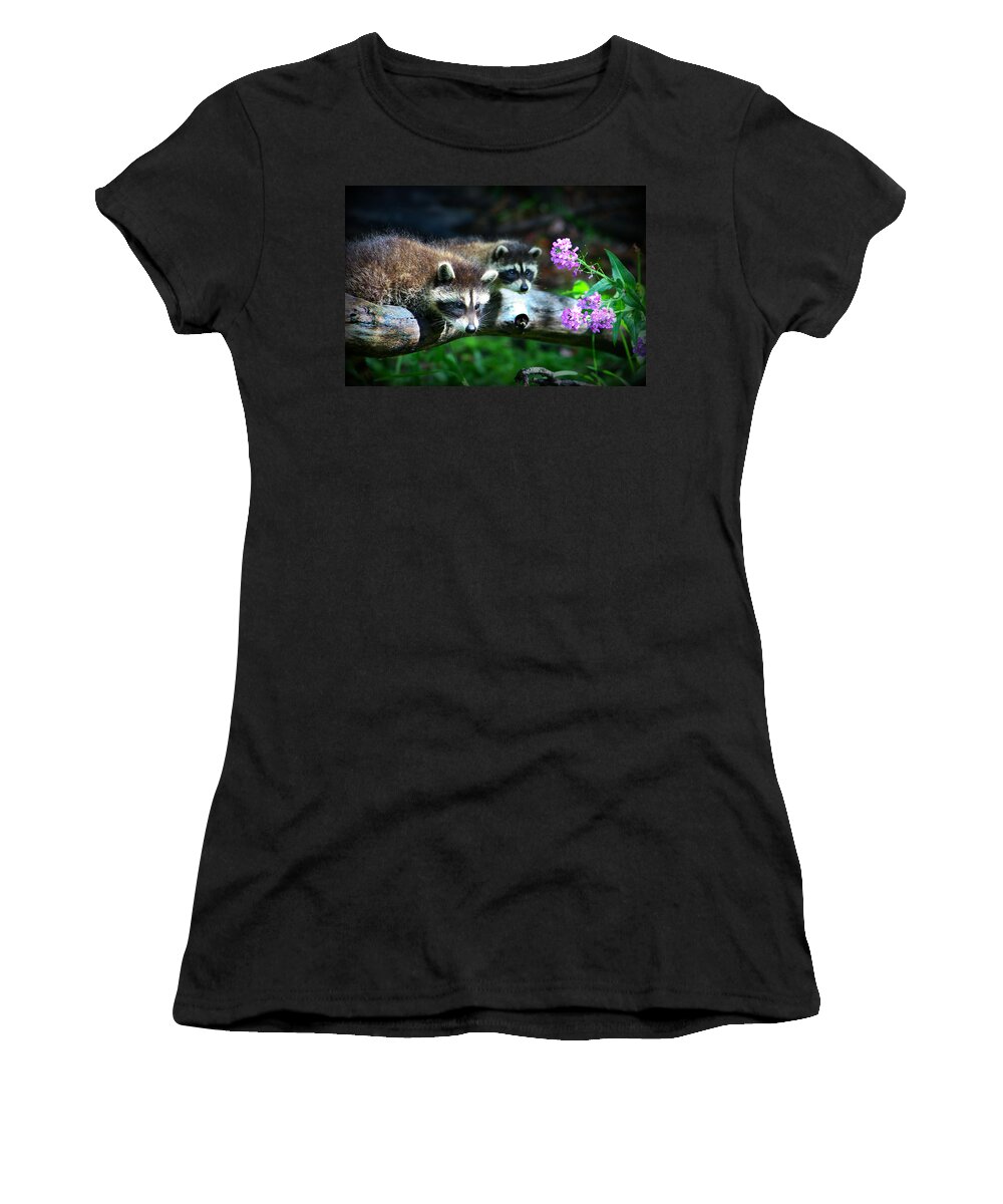 Racoon Women's T-Shirt featuring the photograph Raccoons by Amanda Stadther