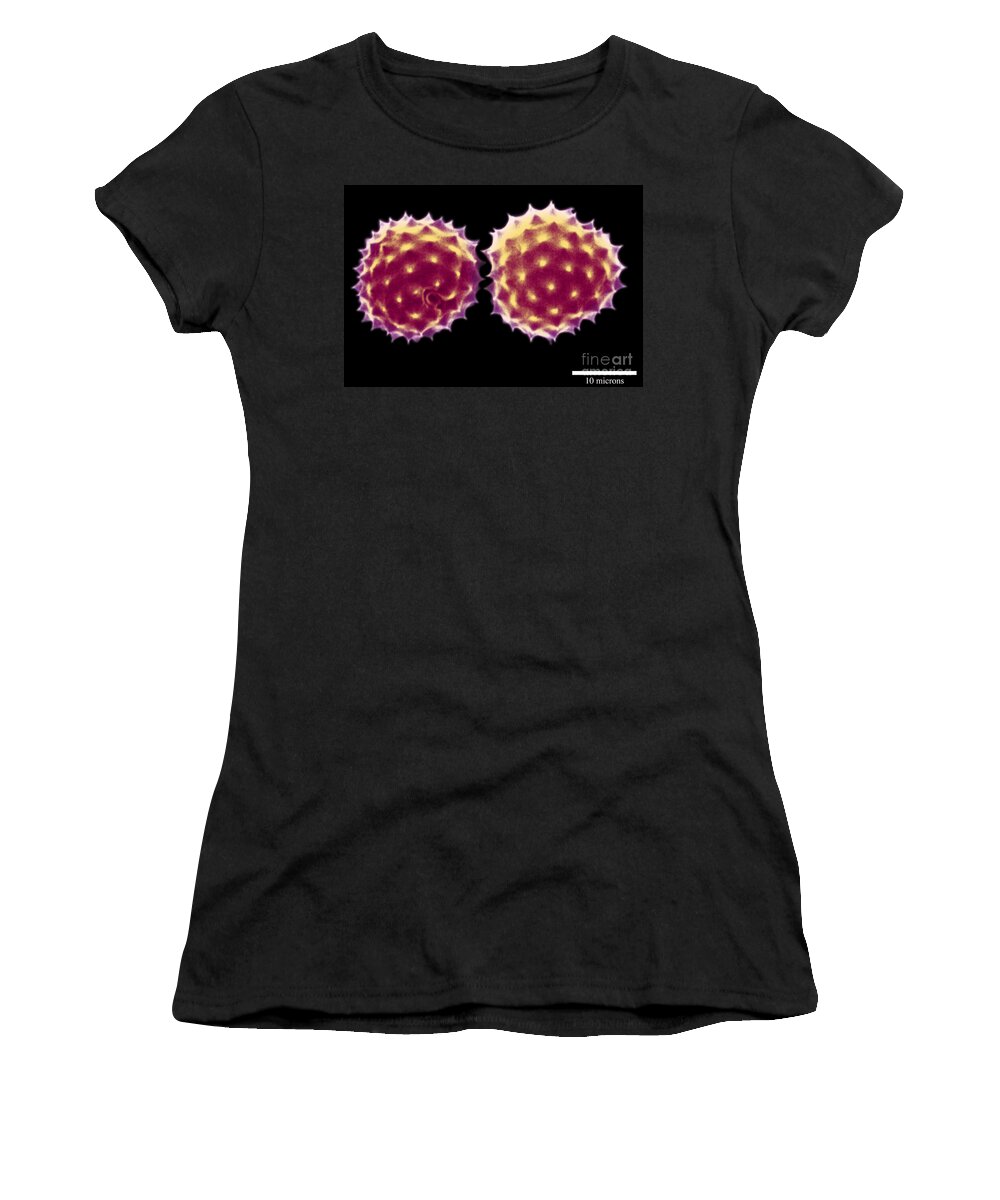 Ragweed Women's T-Shirt featuring the photograph Ragweed Pollen Grains by Scott Camazine